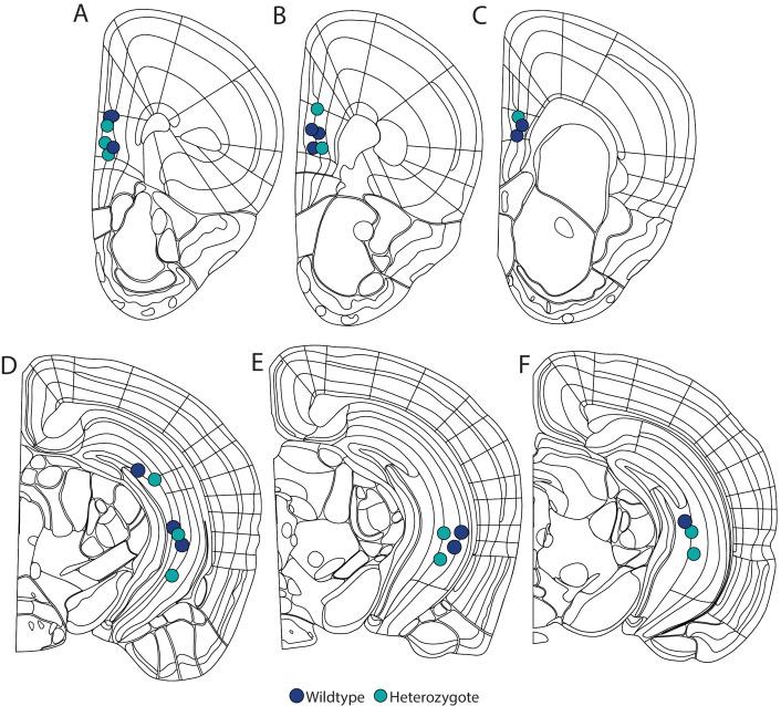 https://cdn.ncbi.nlm.nih.gov/pmc/blobs/df85/7682992/cea7d0364677/elife-54835-fig2-figsupp2.jpg