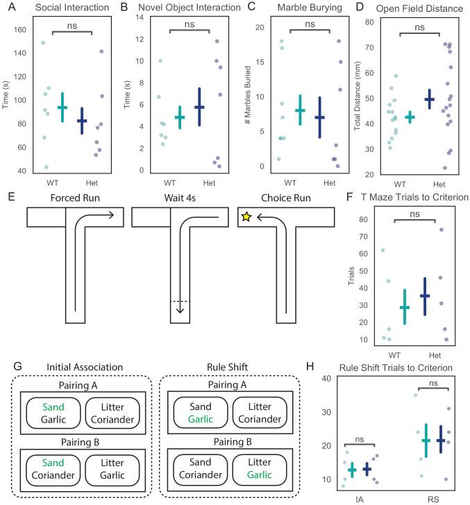 https://cdn.ncbi.nlm.nih.gov/pmc/blobs/df85/7682992/f38d84959305/elife-54835-fig1-figsupp2.jpg