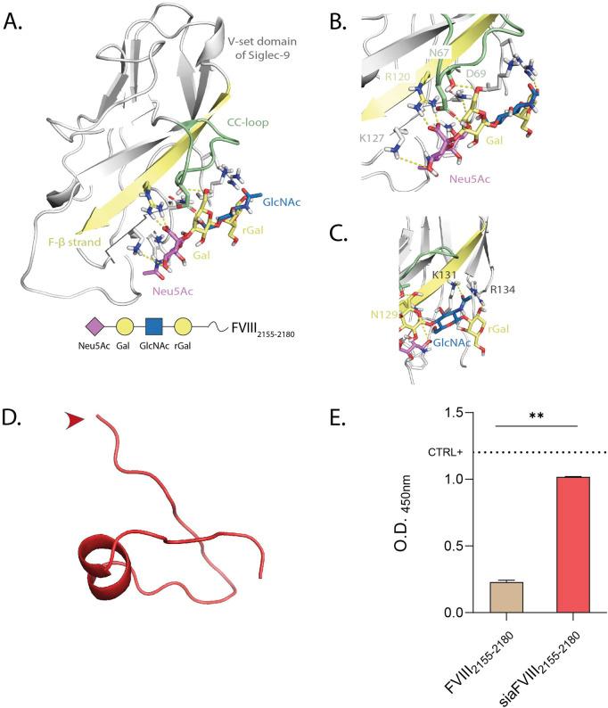 https://cdn.ncbi.nlm.nih.gov/pmc/blobs/df88/12018916/aec365884681/fbioe-13-1558627-g002.jpg