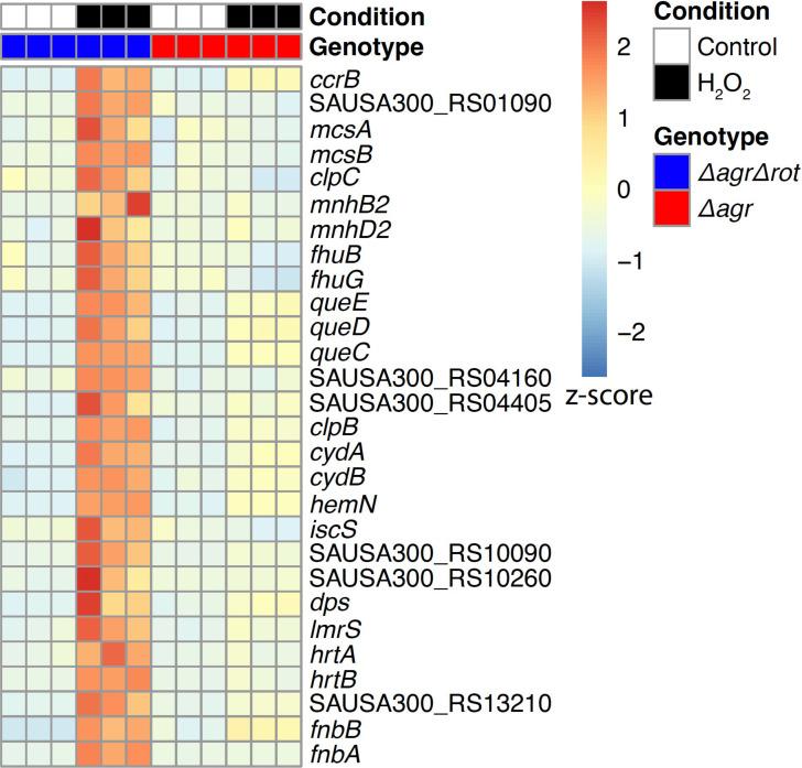 https://cdn.ncbi.nlm.nih.gov/pmc/blobs/df89/11060713/0cd134cc59c3/elife-89098-fig7.jpg
