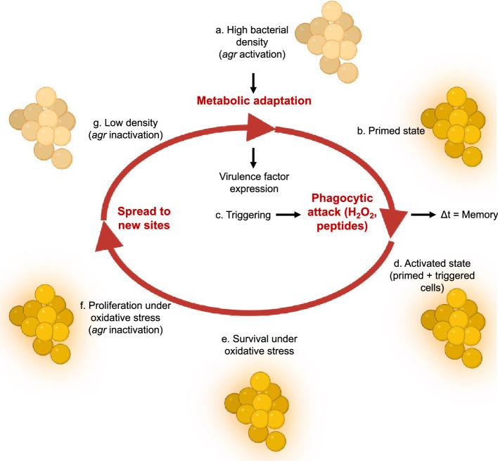 https://cdn.ncbi.nlm.nih.gov/pmc/blobs/df89/11060713/1b5ace3e5c58/elife-89098-fig11.jpg