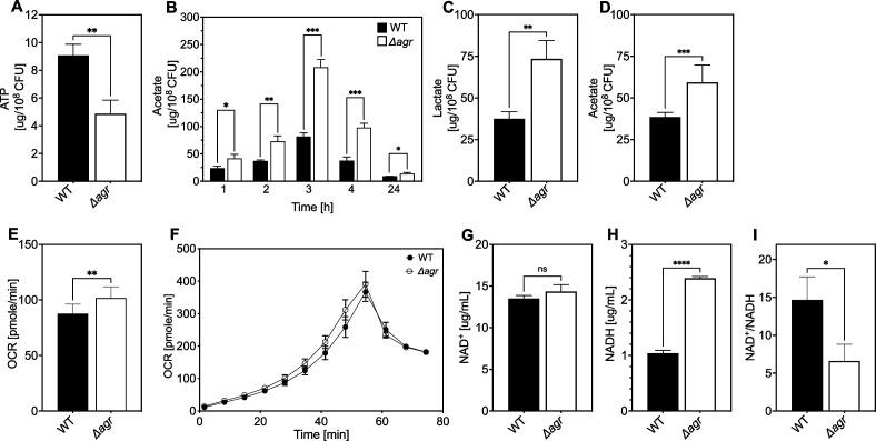 https://cdn.ncbi.nlm.nih.gov/pmc/blobs/df89/11060713/41c407b4f94b/elife-89098-fig5.jpg