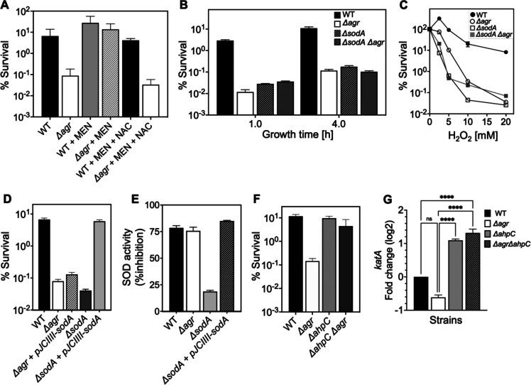 https://cdn.ncbi.nlm.nih.gov/pmc/blobs/df89/11060713/8bc8aba6498f/elife-89098-fig8.jpg