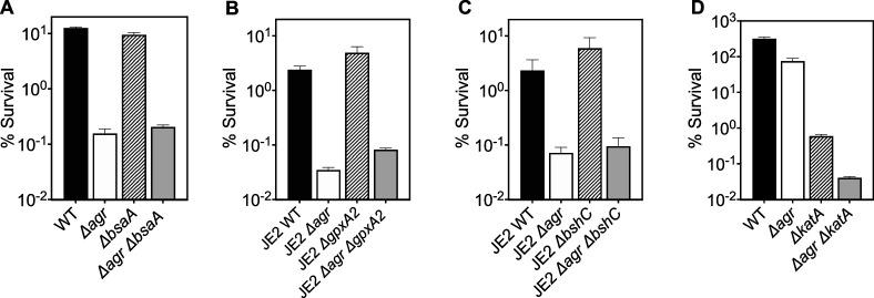 https://cdn.ncbi.nlm.nih.gov/pmc/blobs/df89/11060713/ad50fcaf1a82/elife-89098-fig8-figsupp1.jpg