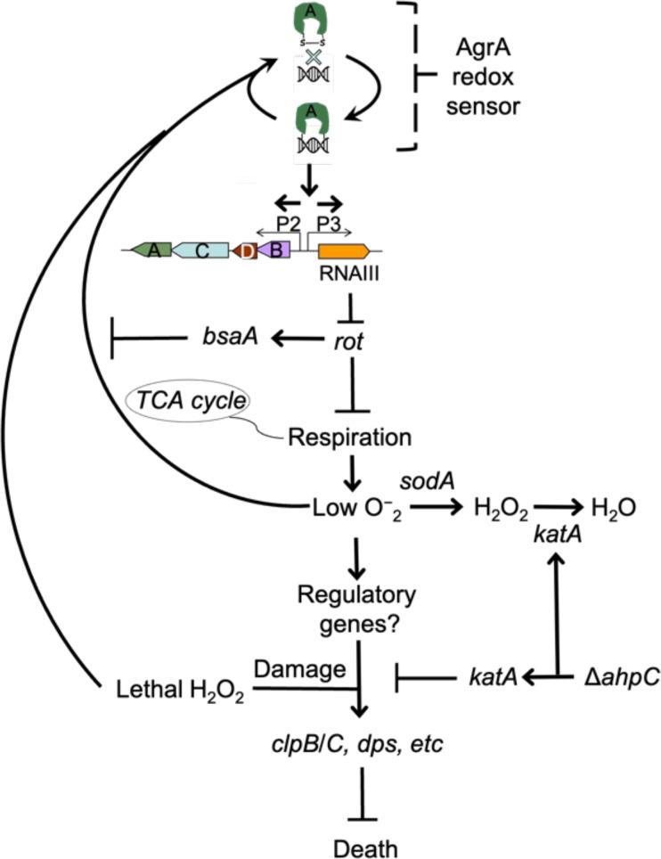 https://cdn.ncbi.nlm.nih.gov/pmc/blobs/df89/11060713/cb872950fdf4/elife-89098-fig10.jpg