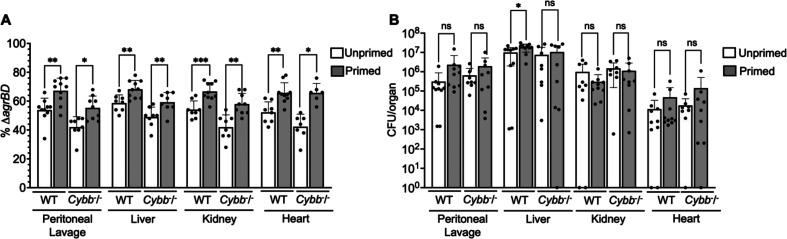 https://cdn.ncbi.nlm.nih.gov/pmc/blobs/df89/11060713/e93f6eb65a82/elife-89098-fig9-figsupp1.jpg