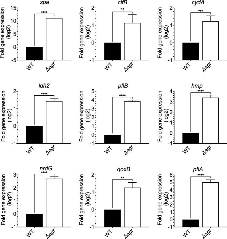 https://cdn.ncbi.nlm.nih.gov/pmc/blobs/df89/11060713/fc6db3cf5618/elife-89098-fig4-figsupp1.jpg