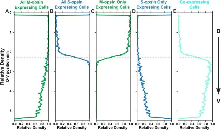 https://cdn.ncbi.nlm.nih.gov/pmc/blobs/df90/7082072/8dce6866a9e7/pcbi.1007691.g003.jpg