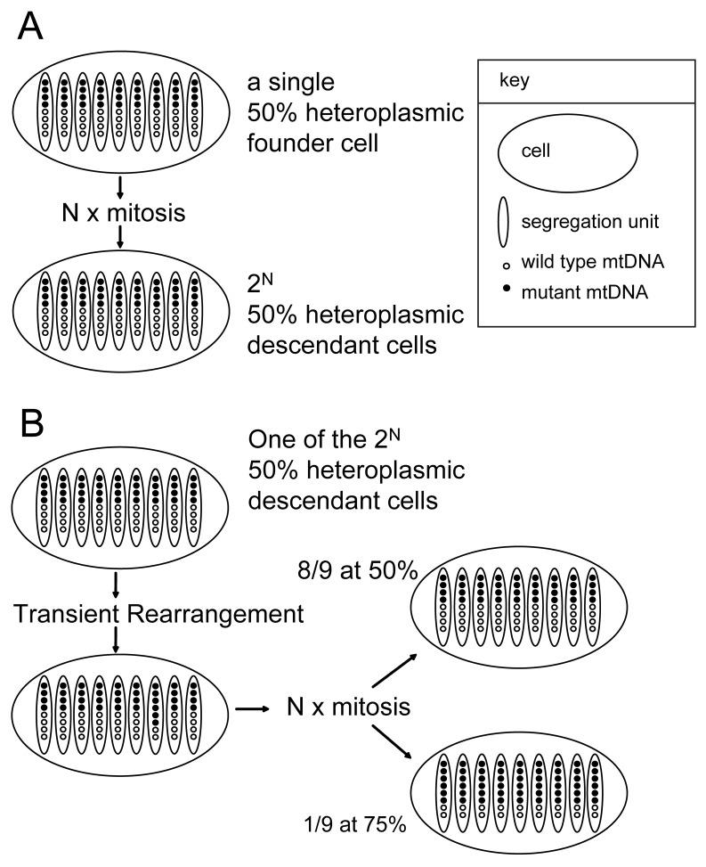 https://cdn.ncbi.nlm.nih.gov/pmc/blobs/df91/3525564/7e696b67f03c/pone.0052080.g001.jpg