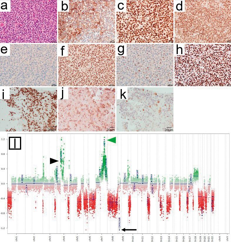 https://cdn.ncbi.nlm.nih.gov/pmc/blobs/df92/12059294/ebfd4cab48ed/2188-4226-12-0139-g002.jpg
