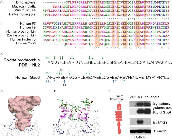 https://cdn.ncbi.nlm.nih.gov/pmc/blobs/df92/5686386/1ac35a6e6fd2/fimmu-08-01521-g003.jpg