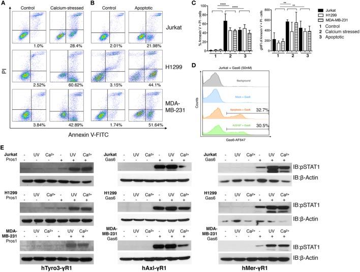 https://cdn.ncbi.nlm.nih.gov/pmc/blobs/df92/5686386/daf536fc7e6c/fimmu-08-01521-g004.jpg
