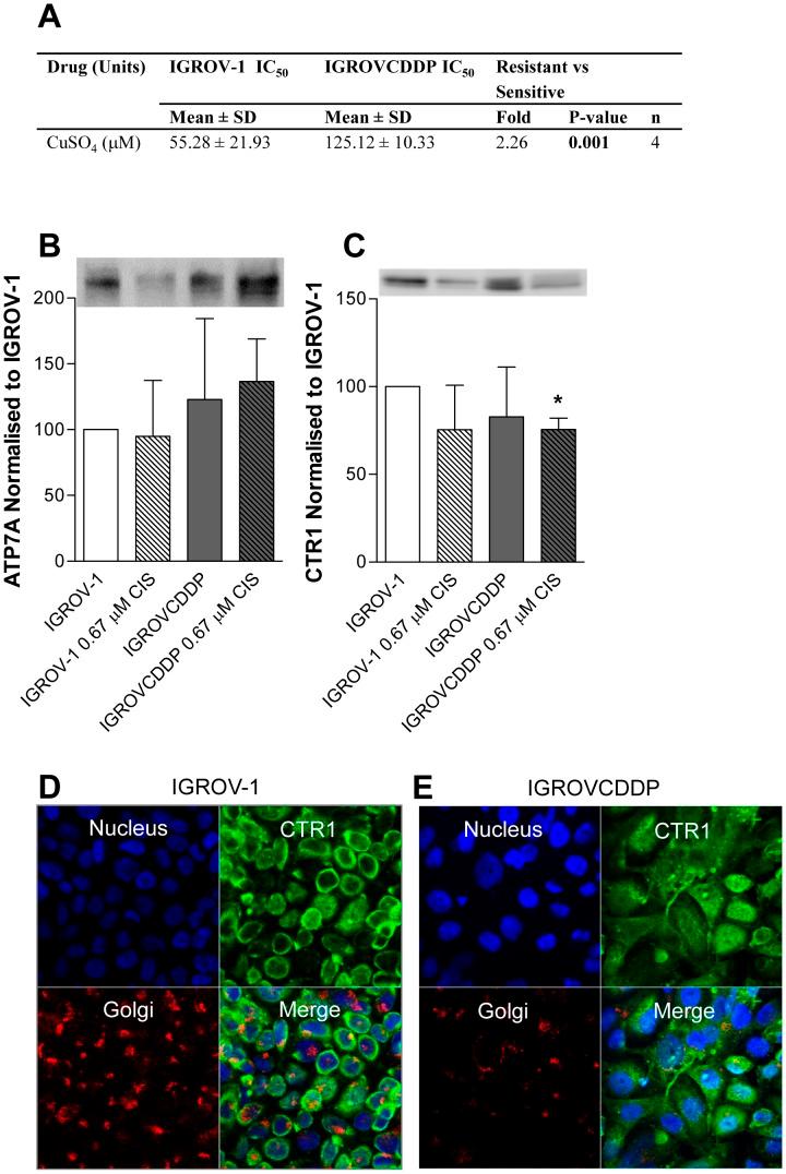 https://cdn.ncbi.nlm.nih.gov/pmc/blobs/df93/3394717/77be8f80c642/pone.0040717.g002.jpg