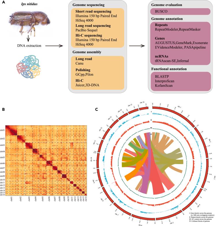 https://cdn.ncbi.nlm.nih.gov/pmc/blobs/df94/10507238/3df5d493833e/gr2.jpg