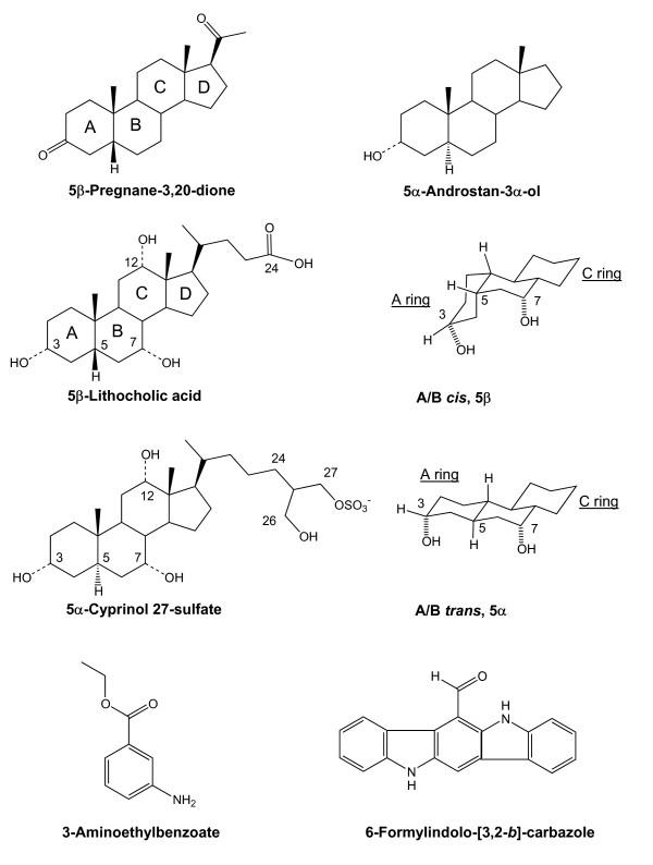 https://cdn.ncbi.nlm.nih.gov/pmc/blobs/df94/2358886/b106a4d14a2d/1471-2148-8-103-1.jpg