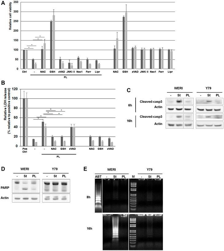 https://cdn.ncbi.nlm.nih.gov/pmc/blobs/df94/8092346/6063d65c017d/oncotarget-12-907-g001.jpg