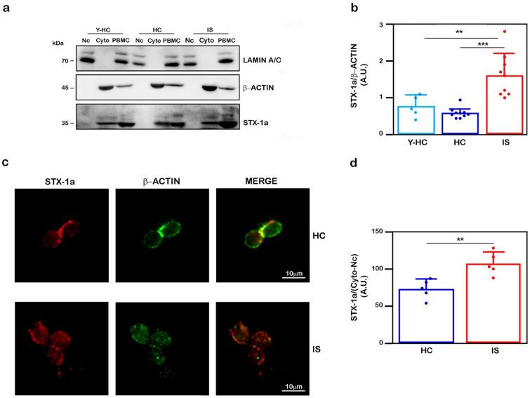 https://cdn.ncbi.nlm.nih.gov/pmc/blobs/df94/9411545/b7aab8221345/41598_2022_18719_Fig5_HTML.jpg