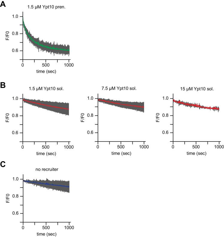 https://cdn.ncbi.nlm.nih.gov/pmc/blobs/df96/7239660/886ea599d47a/elife-56090-fig3-figsupp2.jpg