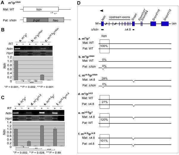 https://cdn.ncbi.nlm.nih.gov/pmc/blobs/df98/3319576/307cda09623c/pone.0034348.g002.jpg