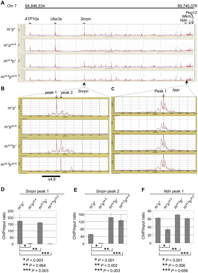 https://cdn.ncbi.nlm.nih.gov/pmc/blobs/df98/3319576/42ac69a78b56/pone.0034348.g005.jpg