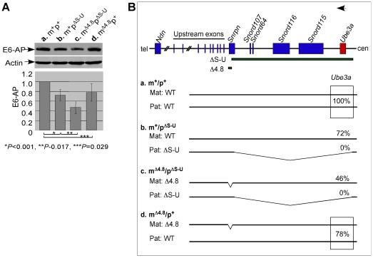 https://cdn.ncbi.nlm.nih.gov/pmc/blobs/df98/3319576/5ed0c6df8c02/pone.0034348.g003.jpg