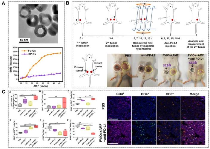https://cdn.ncbi.nlm.nih.gov/pmc/blobs/df98/7069093/19476f097c13/thnov10p3793g009.jpg