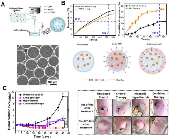 https://cdn.ncbi.nlm.nih.gov/pmc/blobs/df98/7069093/4425f94499c8/thnov10p3793g008.jpg