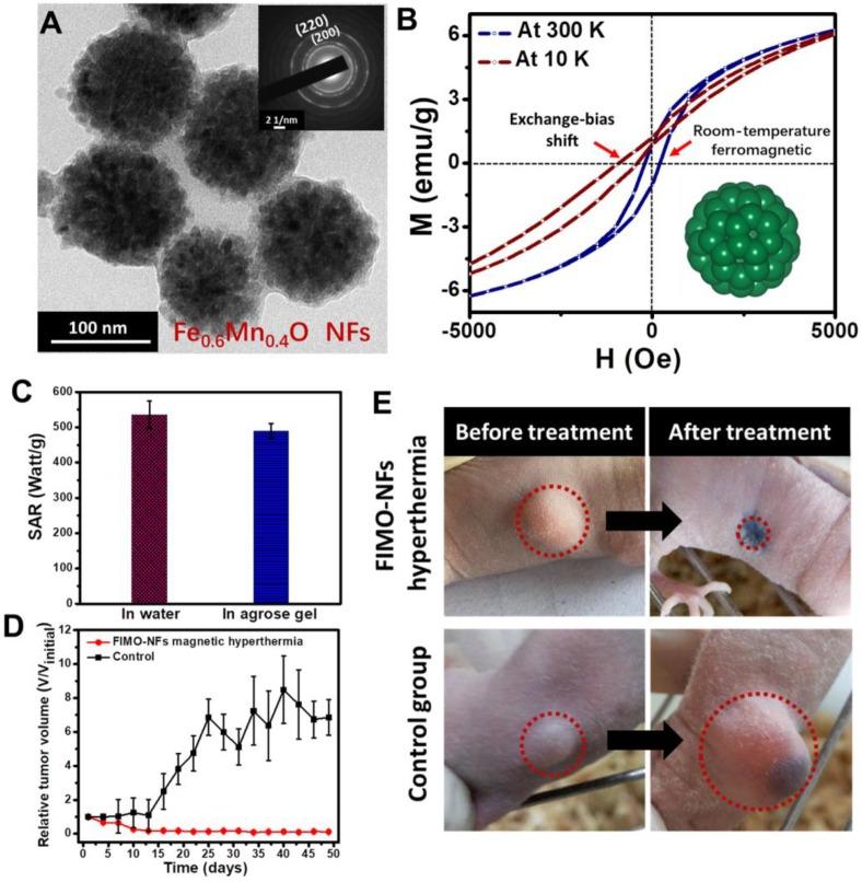 https://cdn.ncbi.nlm.nih.gov/pmc/blobs/df98/7069093/49f13238e715/thnov10p3793g004.jpg
