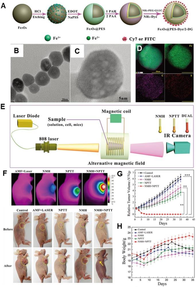 https://cdn.ncbi.nlm.nih.gov/pmc/blobs/df98/7069093/fd29d94cd0de/thnov10p3793g010.jpg