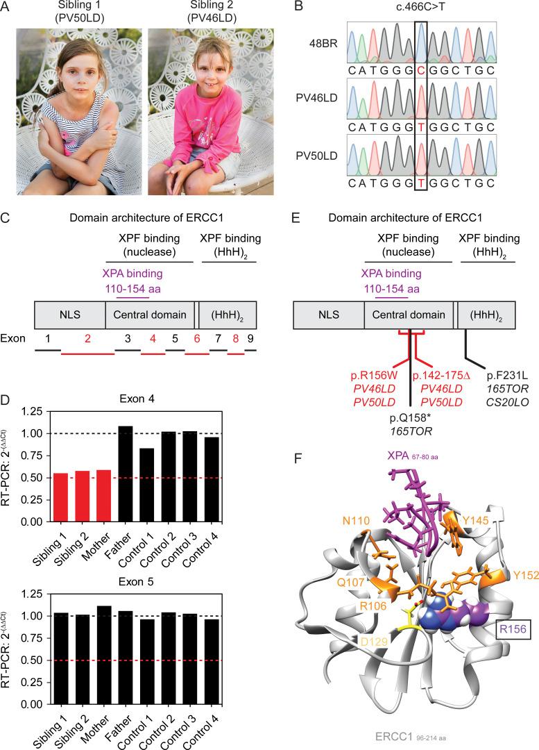https://cdn.ncbi.nlm.nih.gov/pmc/blobs/df98/7927433/167012efd0c0/JEM_20200622_Fig1.jpg