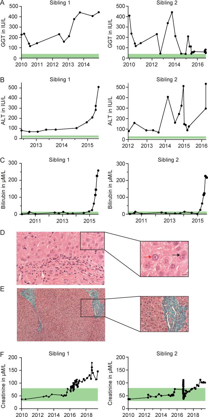 https://cdn.ncbi.nlm.nih.gov/pmc/blobs/df98/7927433/9b155eb97a02/JEM_20200622_FigS1.jpg