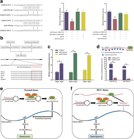 https://cdn.ncbi.nlm.nih.gov/pmc/blobs/df99/5223416/4cd9eeede835/13046_2016_486_Fig4_HTML.jpg
