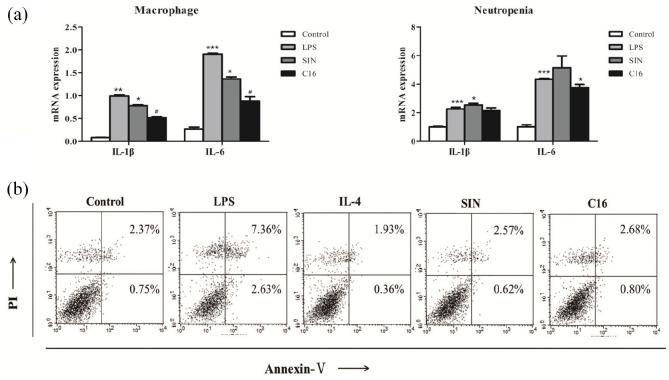 https://cdn.ncbi.nlm.nih.gov/pmc/blobs/df9a/8256249/043e24c455aa/10.1177_20587384211026786-fig2.jpg