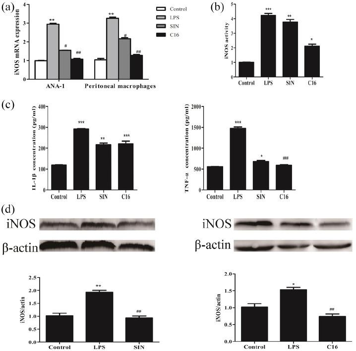https://cdn.ncbi.nlm.nih.gov/pmc/blobs/df9a/8256249/8dcf0d506631/10.1177_20587384211026786-fig3.jpg