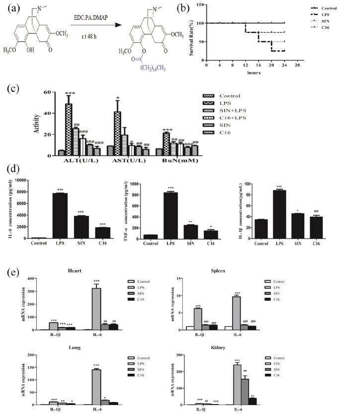 https://cdn.ncbi.nlm.nih.gov/pmc/blobs/df9a/8256249/bad9a9977aa0/10.1177_20587384211026786-fig1.jpg