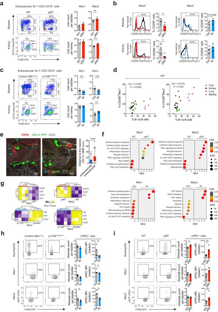 https://cdn.ncbi.nlm.nih.gov/pmc/blobs/df9c/10625551/80a6498c257c/41467_2023_42625_Fig6_HTML.jpg