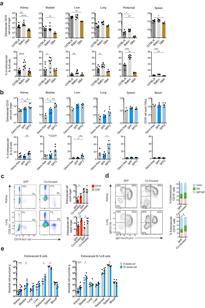 https://cdn.ncbi.nlm.nih.gov/pmc/blobs/df9c/10625551/91a9172eac7f/41467_2023_42625_Fig3_HTML.jpg