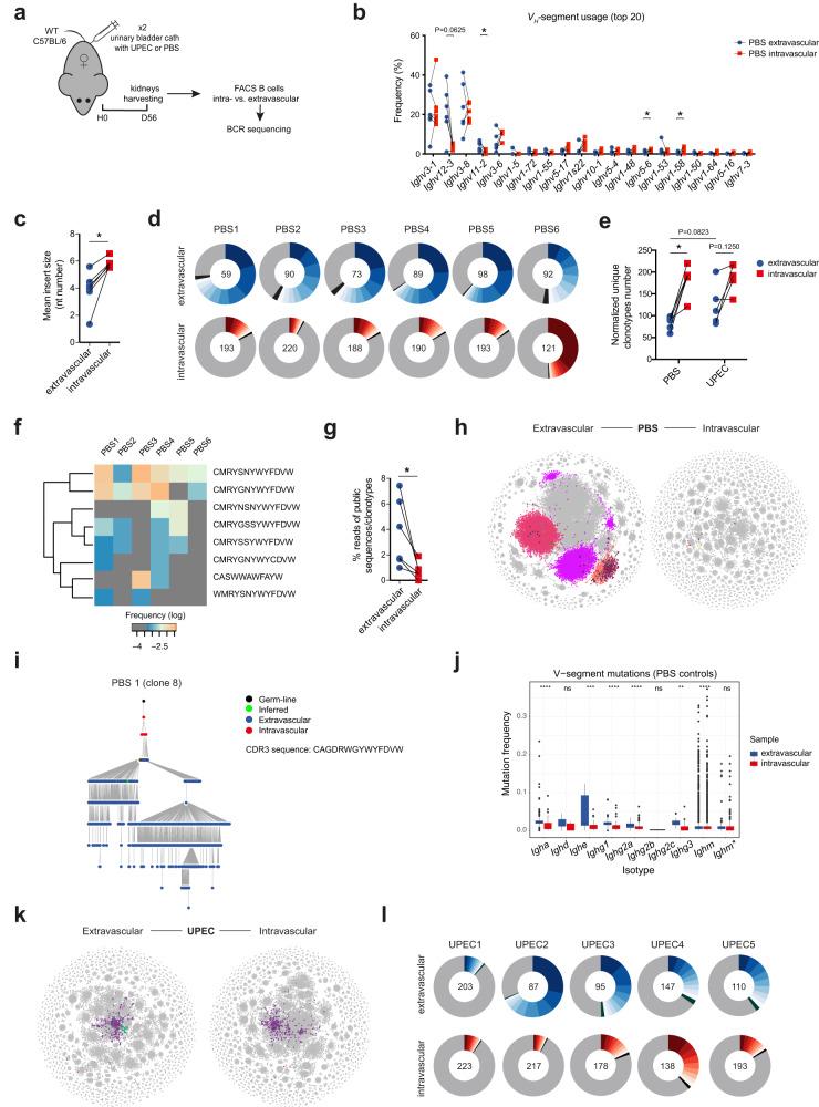 https://cdn.ncbi.nlm.nih.gov/pmc/blobs/df9c/10625551/a7d3c4f88a52/41467_2023_42625_Fig4_HTML.jpg