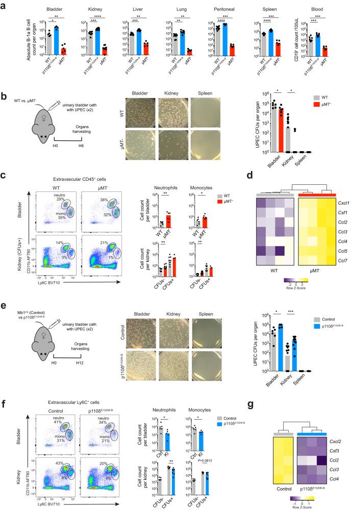 https://cdn.ncbi.nlm.nih.gov/pmc/blobs/df9c/10625551/f066d0b446ee/41467_2023_42625_Fig5_HTML.jpg