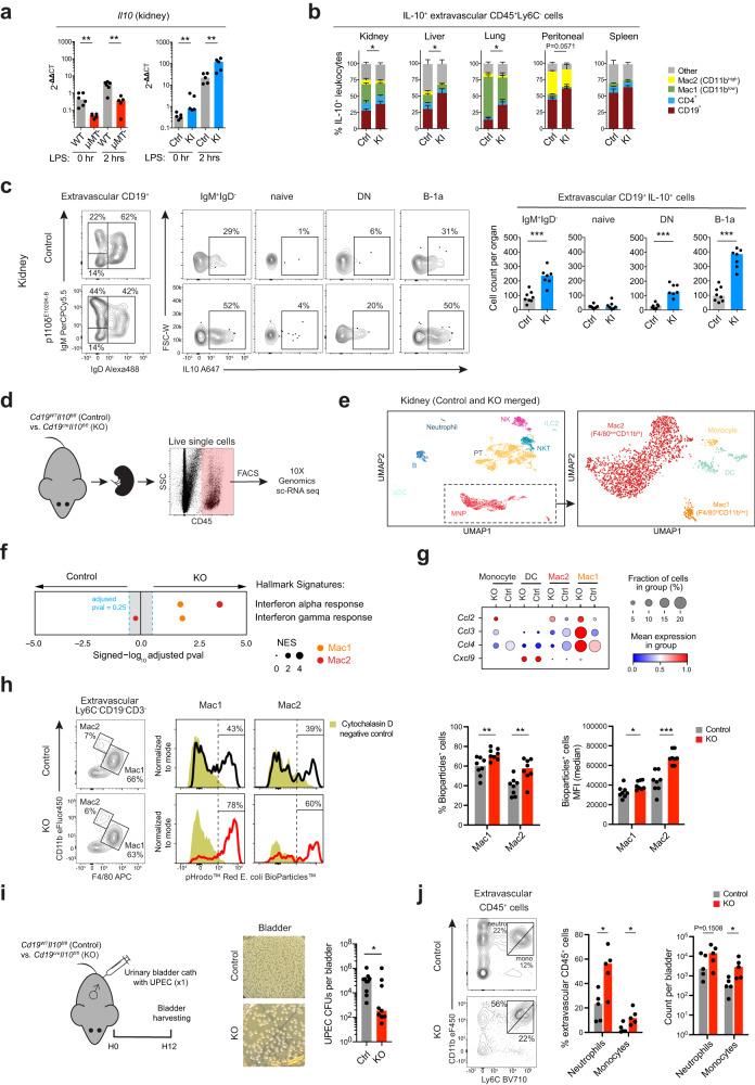 https://cdn.ncbi.nlm.nih.gov/pmc/blobs/df9c/10625551/f946445ed44f/41467_2023_42625_Fig7_HTML.jpg