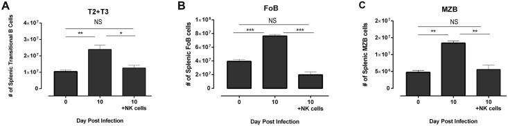 https://cdn.ncbi.nlm.nih.gov/pmc/blobs/df9d/4942092/02cedfcc31d0/ppat.1005733.g008.jpg