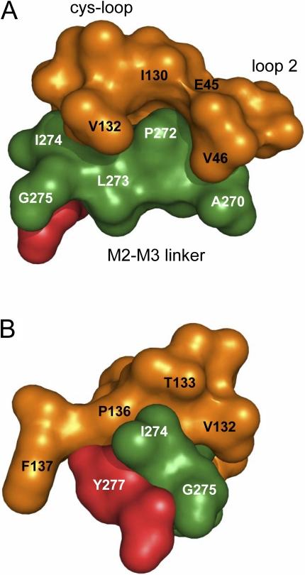 https://cdn.ncbi.nlm.nih.gov/pmc/blobs/df9e/2151658/c9cdf5f291a1/jgp1300547f07.jpg