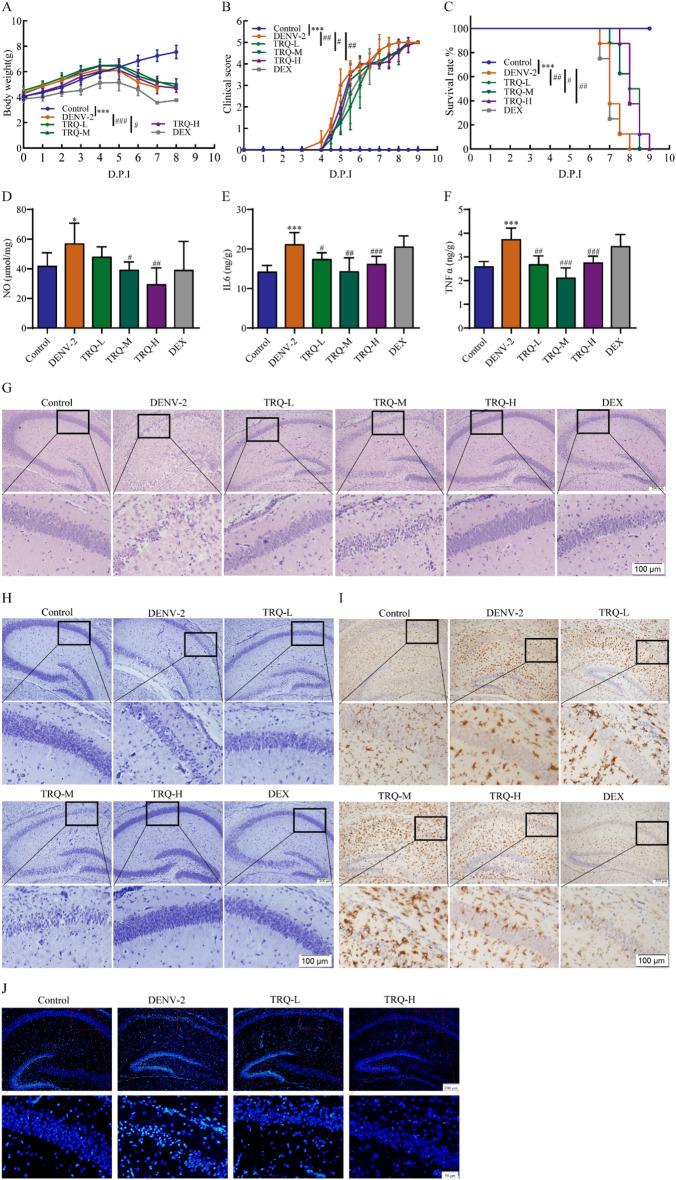 https://cdn.ncbi.nlm.nih.gov/pmc/blobs/df9f/10868054/3f0cfab07315/13020_2024_893_Fig5_HTML.jpg