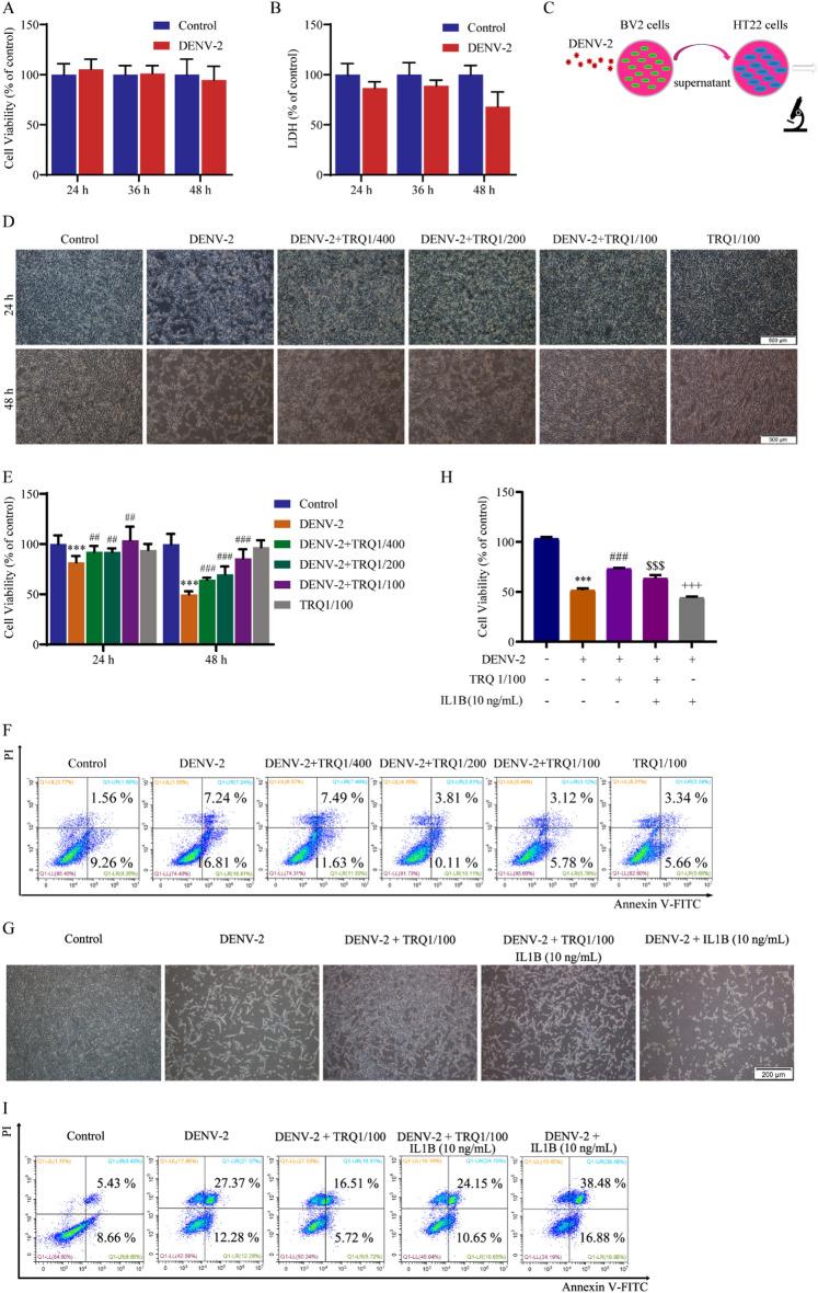 https://cdn.ncbi.nlm.nih.gov/pmc/blobs/df9f/10868054/f3fa3037020e/13020_2024_893_Fig4_HTML.jpg