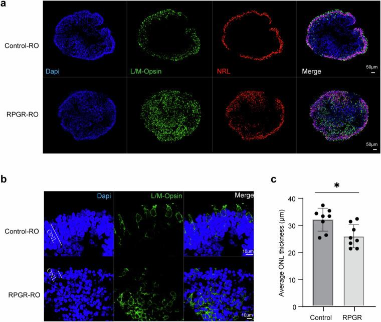 https://cdn.ncbi.nlm.nih.gov/pmc/blobs/df9f/11599861/d3edbeb17200/41597_2024_4124_Fig2_HTML.jpg