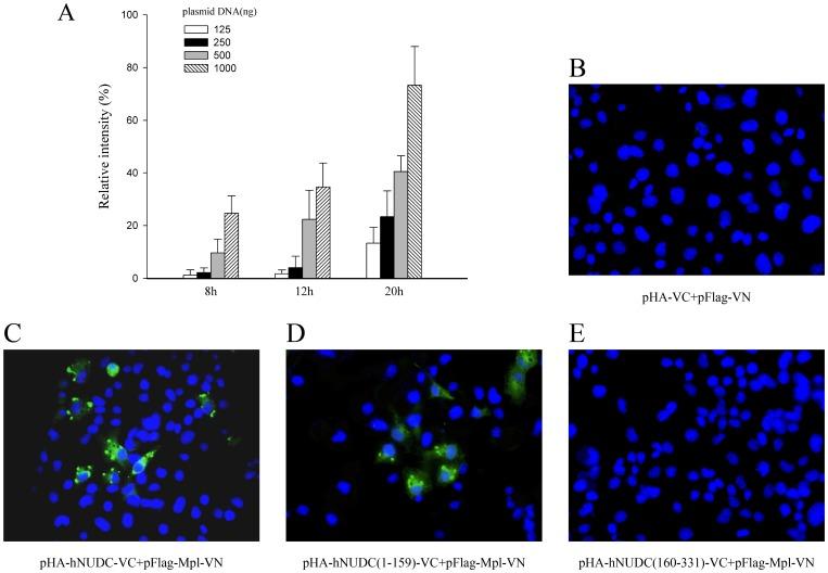 https://cdn.ncbi.nlm.nih.gov/pmc/blobs/df9f/3524126/3e59041de384/pone.0051849.g001.jpg