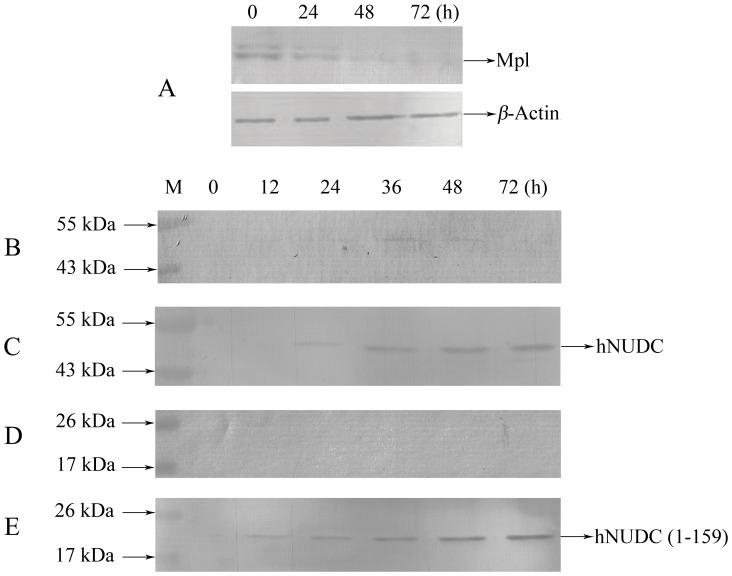 https://cdn.ncbi.nlm.nih.gov/pmc/blobs/df9f/3524126/5809c04124d4/pone.0051849.g006.jpg