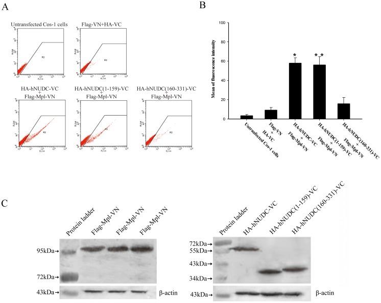 https://cdn.ncbi.nlm.nih.gov/pmc/blobs/df9f/3524126/f5b60d4f996d/pone.0051849.g002.jpg