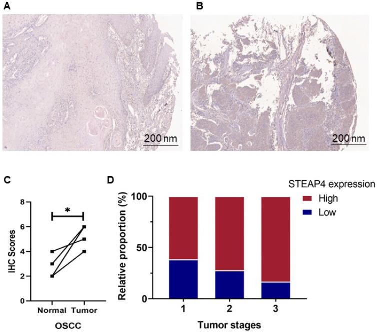 https://cdn.ncbi.nlm.nih.gov/pmc/blobs/dfa1/11632996/3a2315ae12d4/jcav15p6754g005.jpg