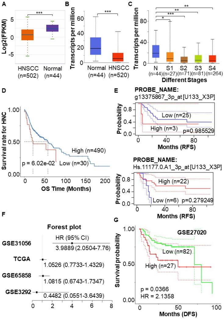 https://cdn.ncbi.nlm.nih.gov/pmc/blobs/dfa1/11632996/445d8cc5e11c/jcav15p6754g002.jpg